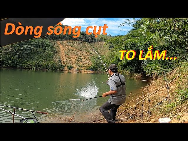 Con này to lắm...Hành trình khám phá dòng sông cụt Thủy Điện Đăk R'Tih | Vietnam Fishing p1