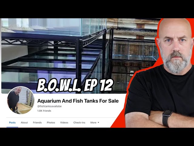 These SCAMS Must Stop!!!  GIVEAWAY! B.O.W.L. Ep. 12