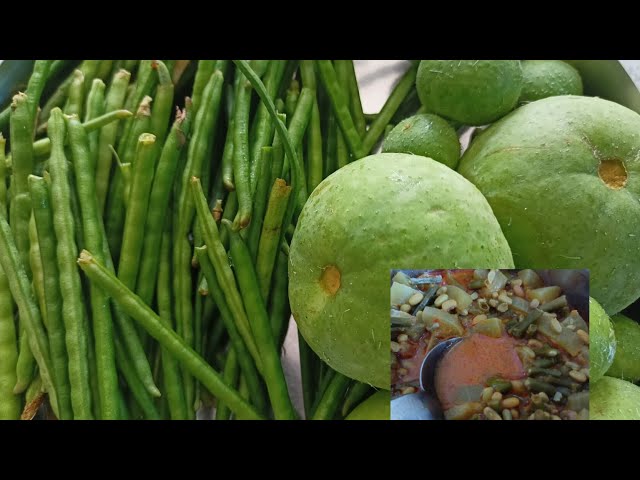 हमारे खेत की शुद्ध व देसी सब्जियां 🌱 kitchen garden 🏡 village life, vlog video, vlogs