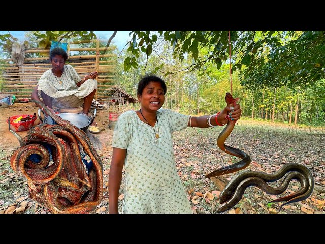 Kuche mach preparation || କୁଚିଆ ବାଗେଇ ଖାଇଲୁ  || munda tribe life #curry