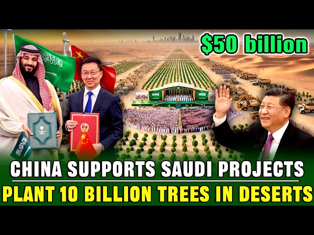 The West is Shocked! China and Saudi Arabia Sign a Project to Plant 10 Billion Trees in the Desert