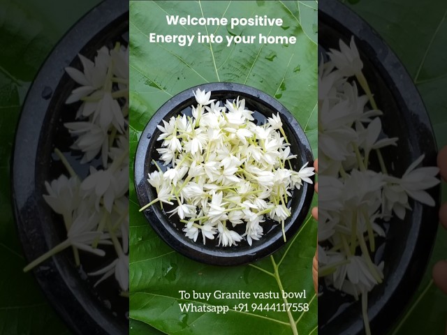 Vastu bowl/Urli decoration with flowers/welcome positive energy #shorts #diy #decor #homedecor #puja