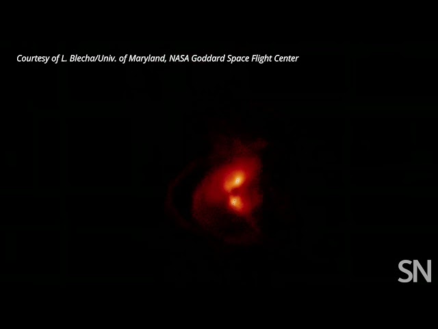 Watch a black hole go rogue | Science News