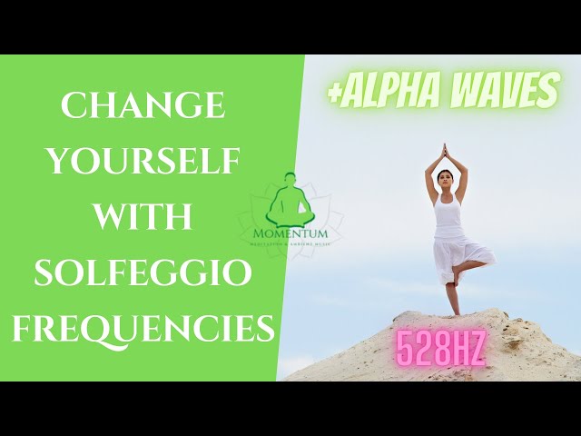 528Hz | 15 Minutes Meditation Music  |  Transformation Solfeggio Frequency  + Alpha Waves