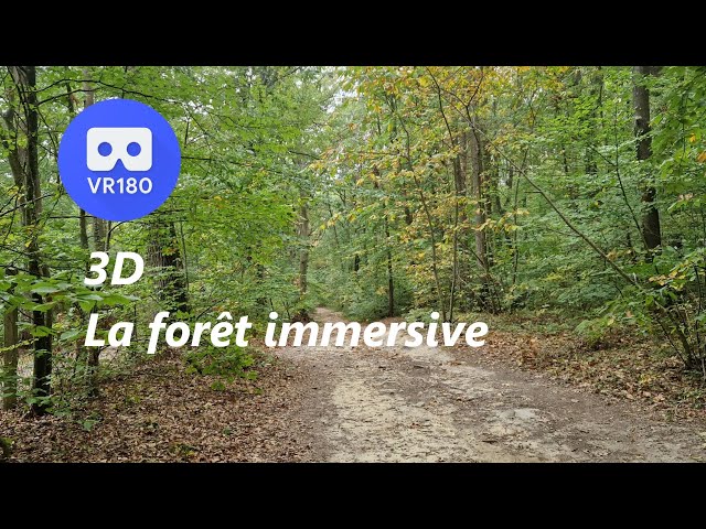 2023   #3   MAGAZINE NATURE 3D   La forêt immersive   14 octobre   VR180 3D