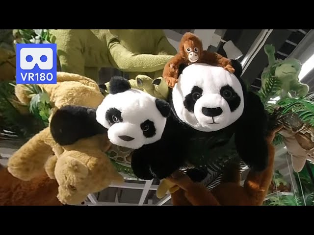 3D 180VR 4K Ikea Toy for Children Lion, Monkey, Panda, Bear and All kind of lovely Dolls