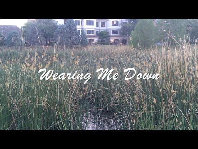 Wearing Me Down - Michele Zayla