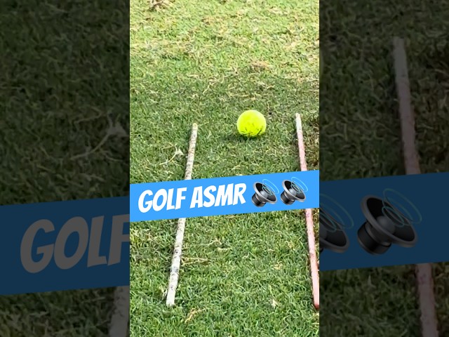 best line youll see on yt #golf #shorts #satisfying #asmr