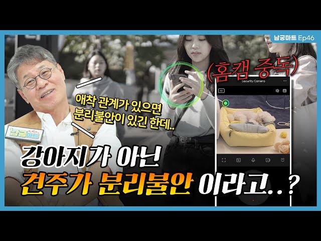 홈캠 보는 걸 끊을 수가 없어요..🥲 견주의 분리불안 다스리는 법! - [남궁마트 Ep46]