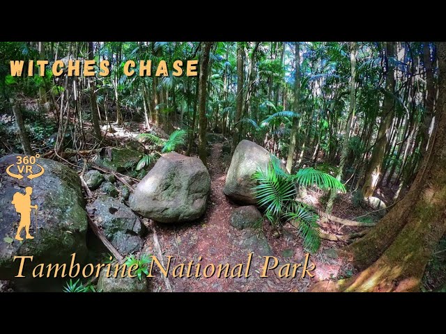 Witches Chase, Tamborine National Park - 360° Walkthrough