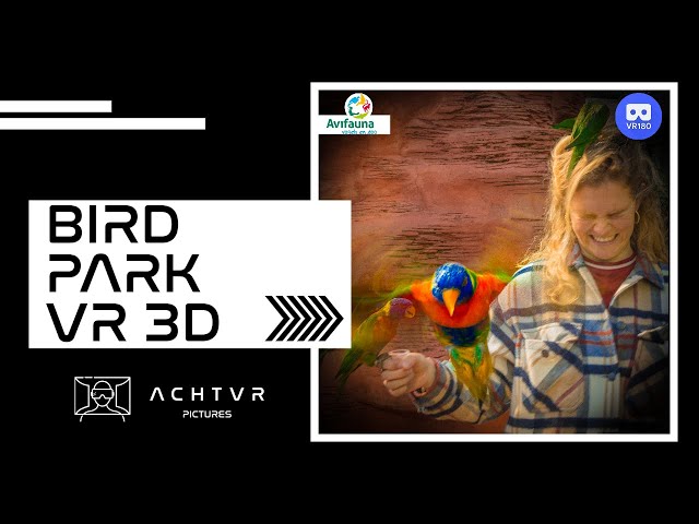 Vogelpark Avifauna Virtual Reality Experience 3D VR 180 8K