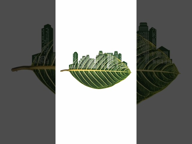 Illustrator tip 2025 | Leaf building design in illustrator | leaf building | jzgraphics