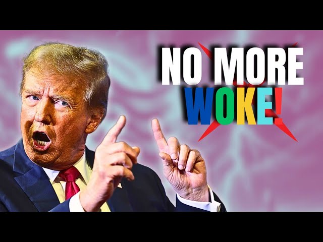 Moments When Trump DESTROYED Woke Reporters LIVE