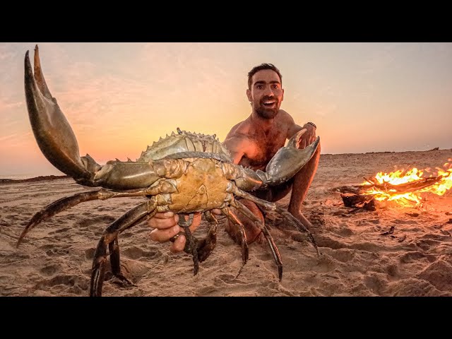 GIANT MUD CRAB (Barehanded Hunt & Forage)