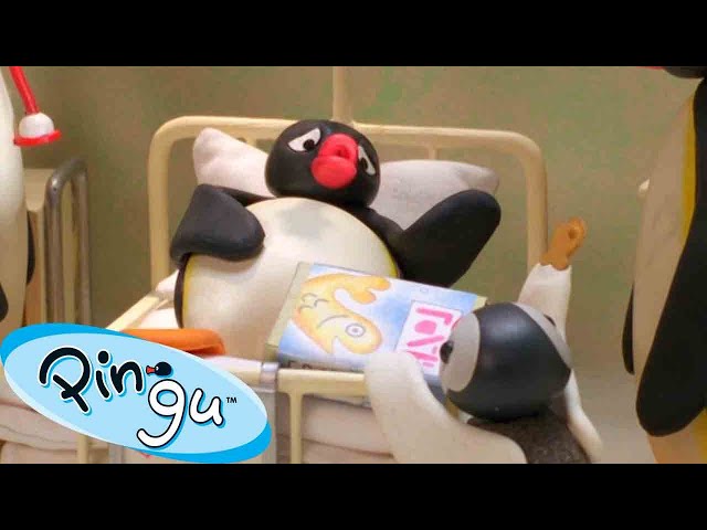 Pingu Has a Sore Tummy  🐧 | Pingu - Official Channel | Cartoons For Kids