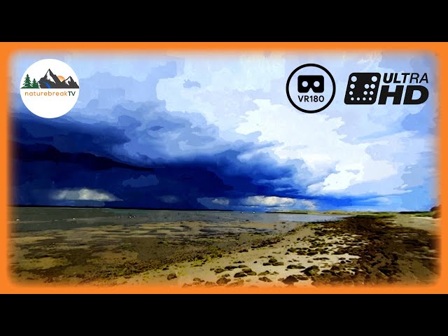 the STORM is coming! 🌩 VR180 nature meditation