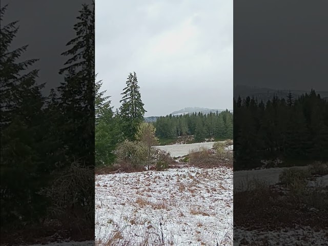 Panoramic snow view in Oregon 2025