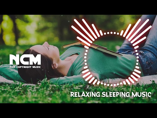 Relax Beat Sleeping music 🎶 | Copyright Free Music NCM