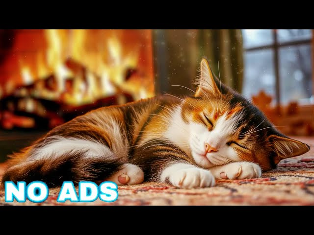 Calming Music for Cats with Cozy Ambience🐈Cat music for anxiety | Piano cat music no ads