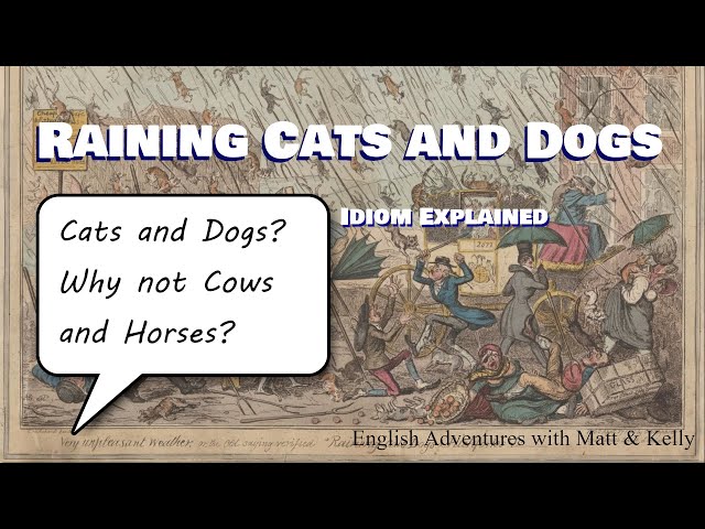 Raining Cats And Dogs? Are They Ok? - English Idiom Explanation Video