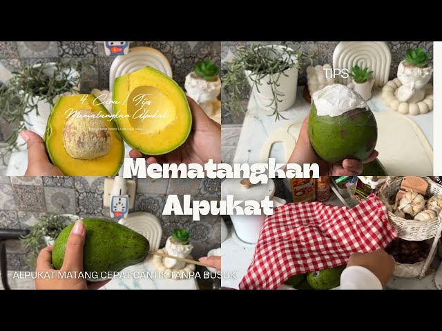 Cara MEMATANGKAN ALPUKAT | 2 Hari Matang Cantik Mulus Tanpa Busuk, gimana caranya?