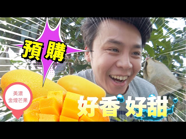 Jinhuang Mango Pre-Order ｜ Mino Taiwan ｜ Sweet and delicious ｜ Meinong rice No.147