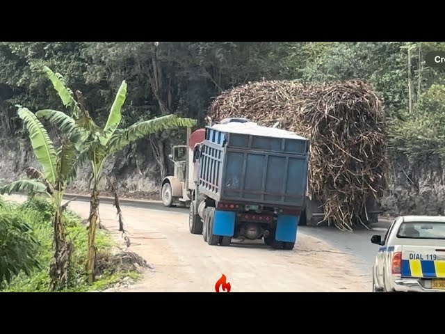 Loaded trucks are navigating a steep and dangerous corner. One mistake could lead to disaster.