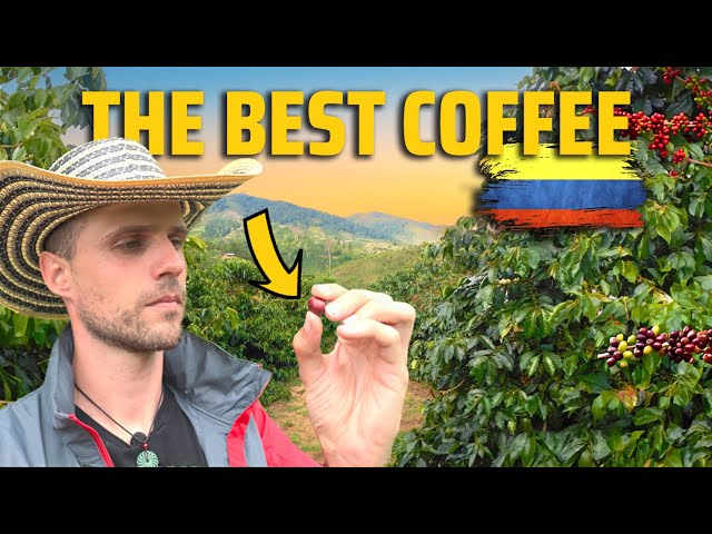 🇨🇴 Why COLOMBIAN COFFEE Beats All Others (Sub Eng) - Colombia - Ep.9