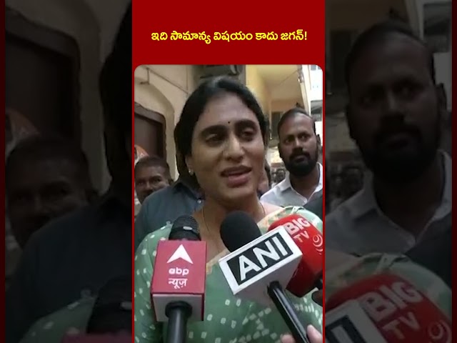 YS Sharmila Reacts on YS Jagan Comments | YSR Family Controversy | TV5 News