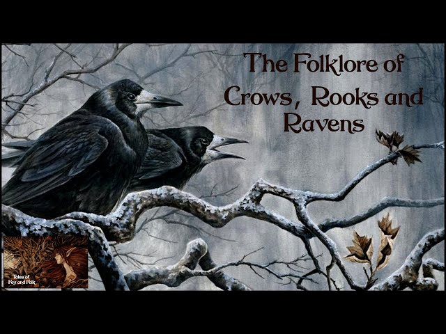 The Folklore of Crows, Rooks and Ravens , ASMR Bird Folklore and Mythology