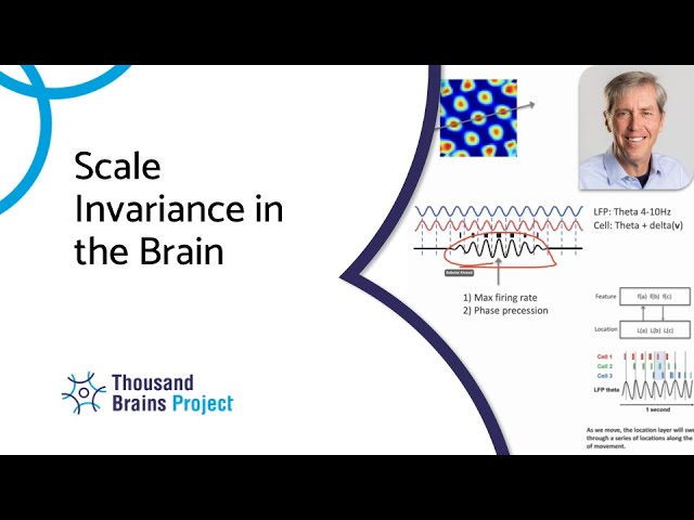 2022/03 - Scale Invariance in the Brain