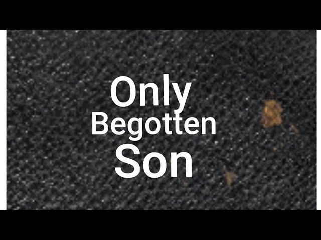 Only Begotten Son-John 3:16