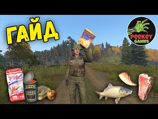 ГАЙД "как не помереть с голоду" в DayZ