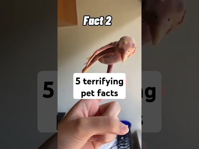 5 Terrifying Pet Facts You Never Knew! 🐾