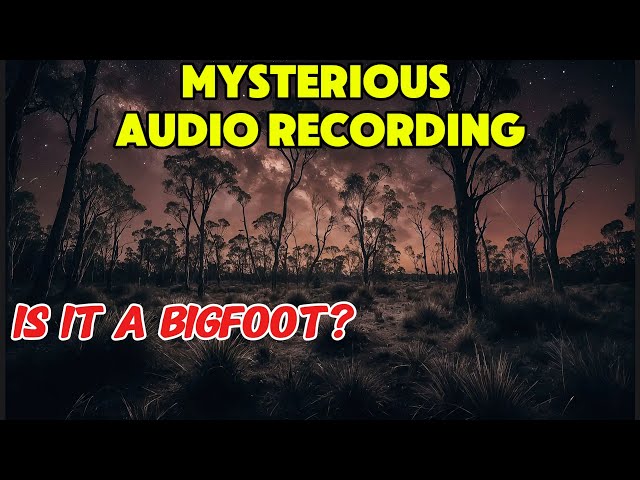 Possible Bigfoot Roars Recorded on Camping Trip (Granite Gorge) #yowie #bigfoot #australia #usa