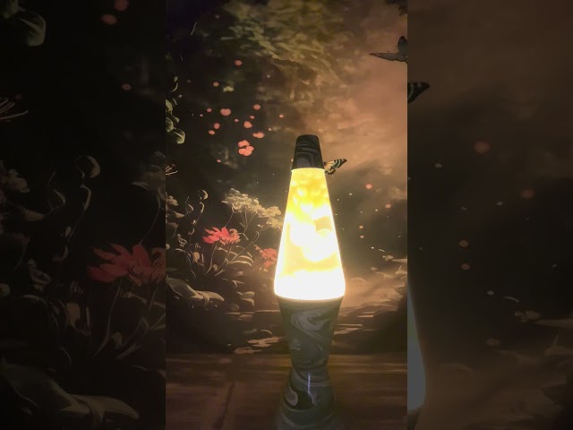 Lava Lamp Butterfly Stream