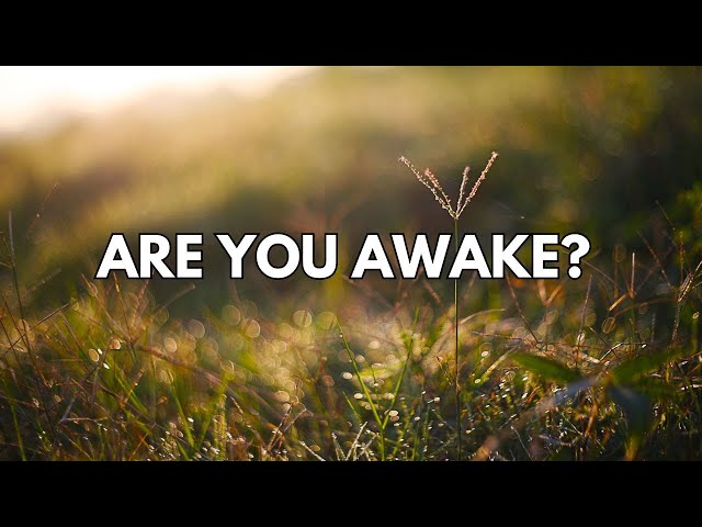 8.4.24 Service: ARE YOU AWAKE?