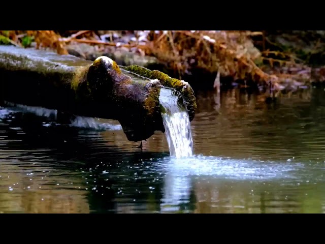 Waterfall Nature Sound - No Copyright Video | Subscribe to Free Use Your Projects