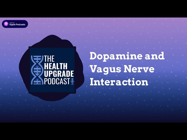 The Health Upgrade Podcast - Dopamine and Vagus Nerve Interaction