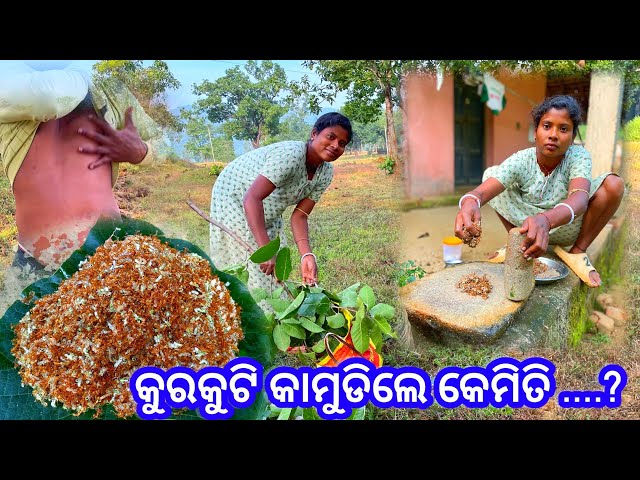 Kurkuti chutney ।। କୁରକୁଟି ଲଗଂଳା କରିଦେଲେ ମତେ ।। village tribal life