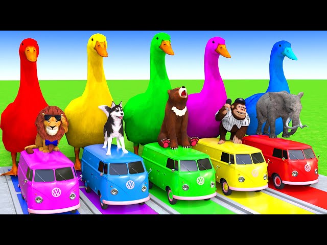 5 Giant Duck Cartoon,Cow,Elephant,Tiger,Lion,Dinosaur,Paint Wild Animals Crossing Fountain Animation