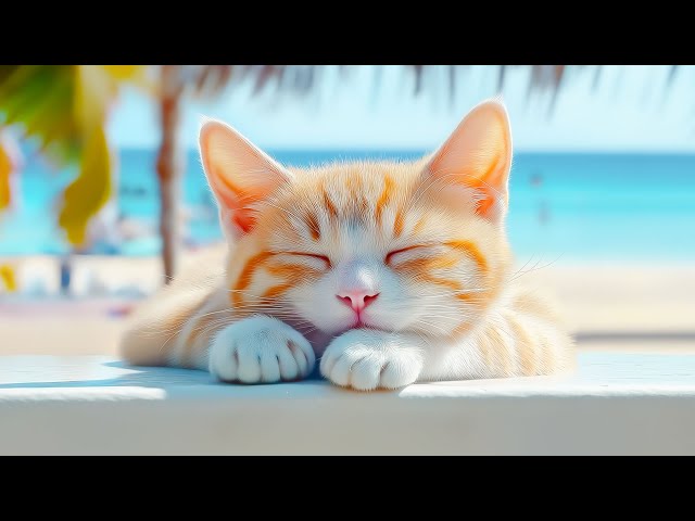 12 Hours Of Music Therapy for Cats to Play, Dance and Make Them Happy 😻 Music for Cats