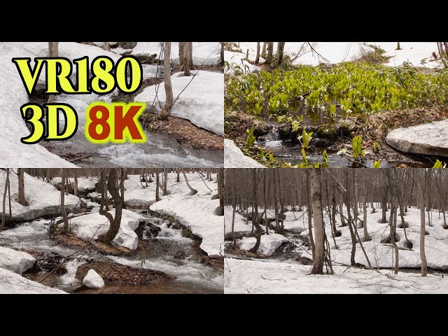 [ 8K 3D VR180 にはめ込んだ 昔の3D映像] 雪解けの頃の八幡平の風景 Scenery of melting snow in early spring around Hachimantai