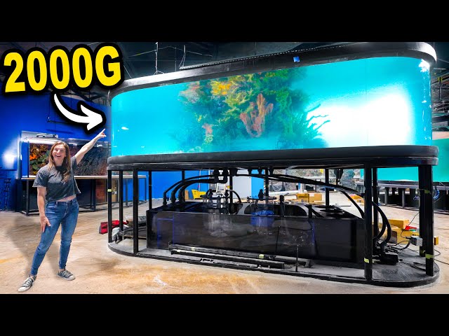 Finally Filling My 2,000G Fish Tank!