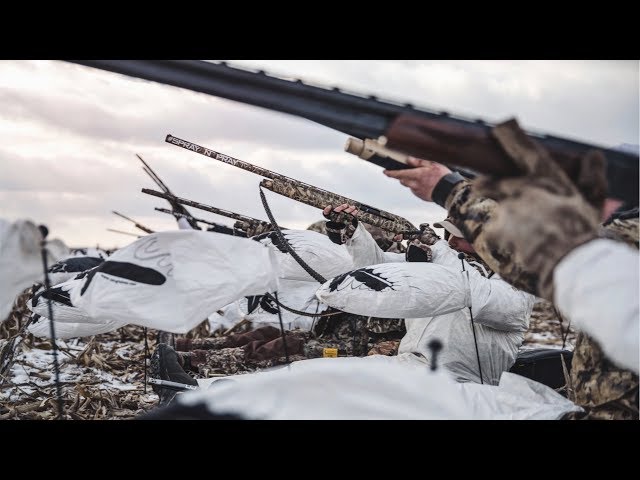 Shooting 62 SNOW GEESE!!! INSANE Goose Hunting in Kansas!!