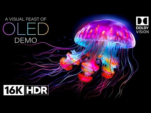 OLED TEST VIDEO - 16K HDR 120FPS DOLBY VISION DEMO - 16K VIDEO ULTRA HD