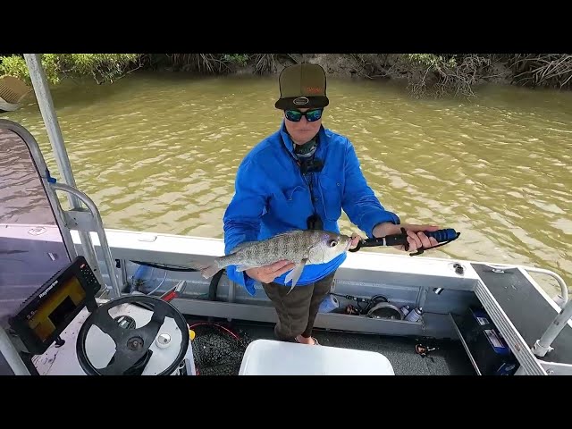 Snake swims onto my boat! - Lure fishing Townsville