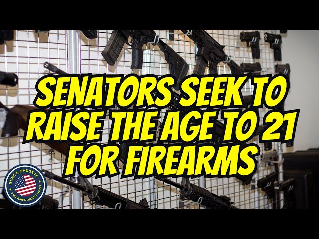 WOW! US Senators Seek To Raise Age To 21 For Firearms