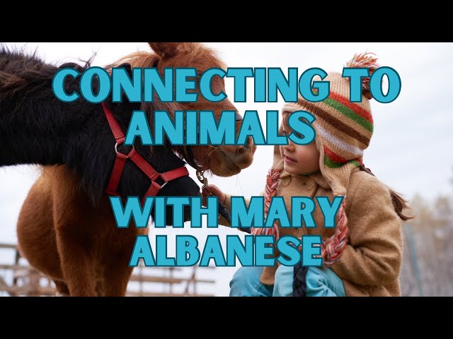 Connecting with Animals: Mary Albanese Reads Pet Thoughts and Feelings - Episode 22