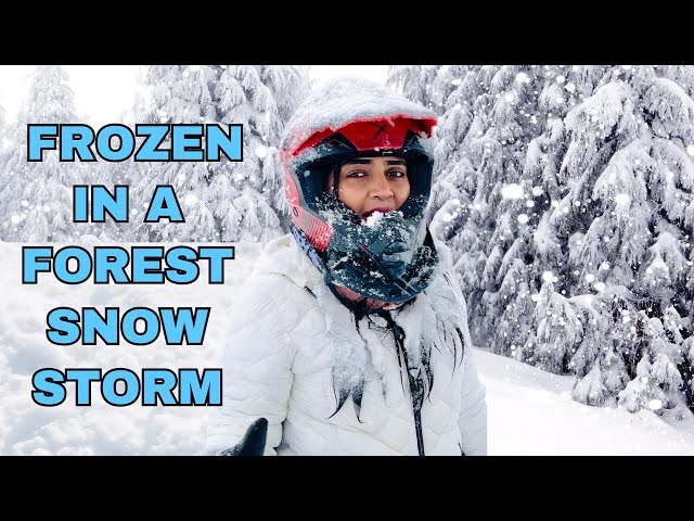 ️❄️ நடுக்காட்டில் எதிர்பாராத பனிப்புயலில் எங்கள் பயணம் | Whistler BC | Canada | USA Tamil VLOG